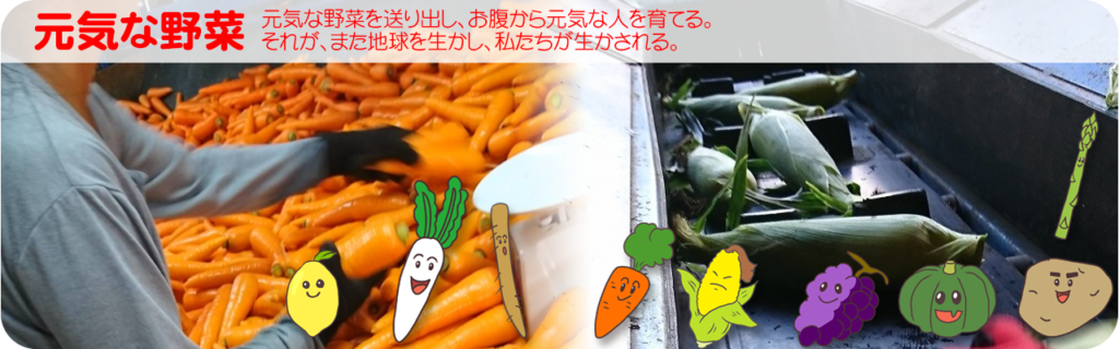 「元気」な野菜